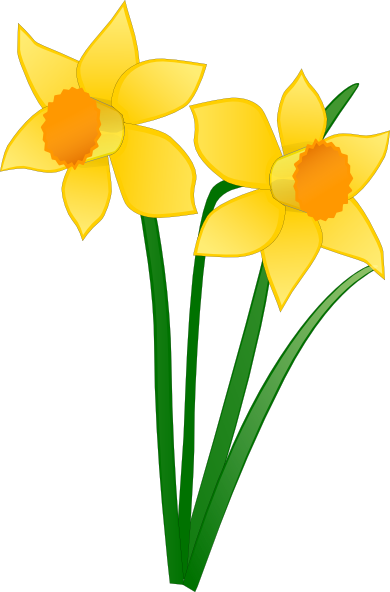 free clip art daffodil border - photo #27