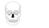 Skull Clip Art