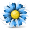 Flower Blue Image