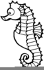 Seahorse Clipart Black And White Image