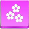 Flowers Icon Image