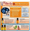 Norovirus Treatment Image