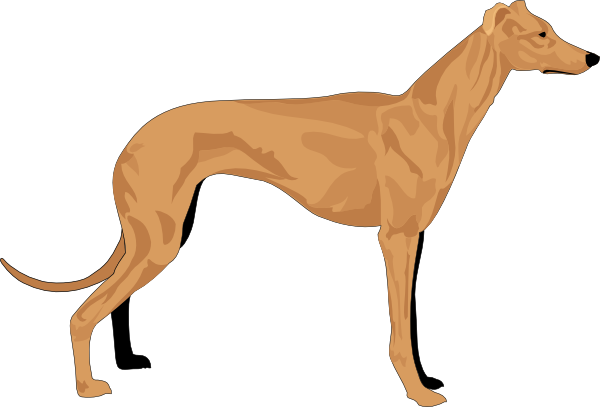 hound dog clipart - photo #34