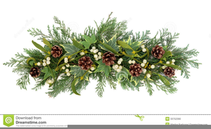 Holiday Greenery Clipart Image