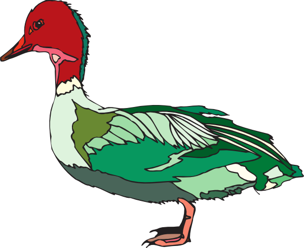 green duck clipart - photo #15