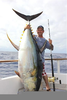 Giant Yellowfin Tuna Image