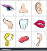 Clipart Mouth Nose Eyes Image