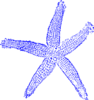 Maehr Green Starfish Clip Art