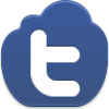 Twitter Icon Image