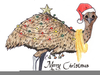 Australian Clipart Christmas Image