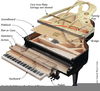 Piano Inside Diagram Image