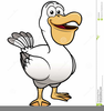 Cartoon Pelican Clipart Image