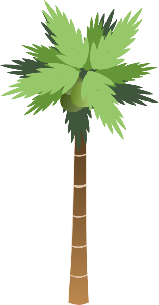 free vector clip art palm tree - photo #43