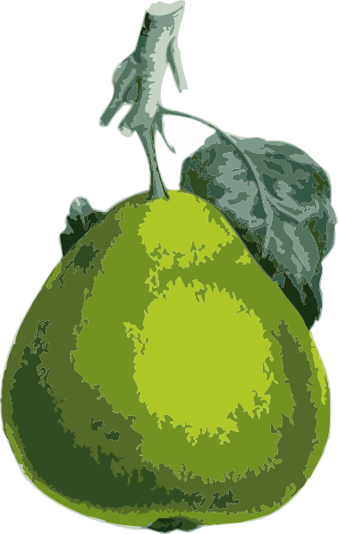 clipart pear tree - photo #21