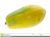 Clipart Papaya Fruit Image