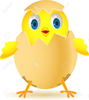 Clipart Eggs Image