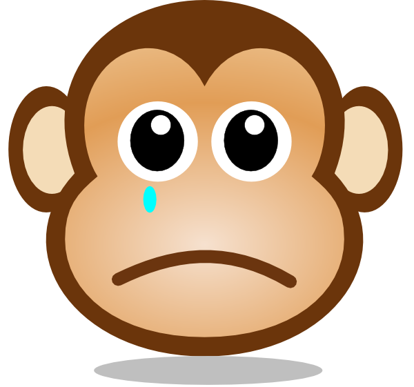 Image result for very sad face monkey :(