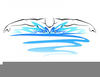 Free Swim Team Clipart Image