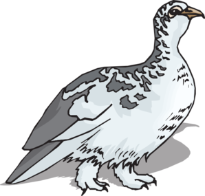 Ptarmigan Clip Art