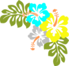 Hibiscus Hawaii Flower Clip Art