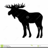 Animals Moose Clipart Image