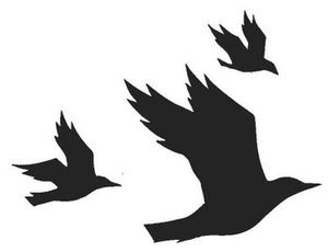Featured image of post How To Draw A Crow Flying 310x253 page flying crow png cliparts for free download uihere