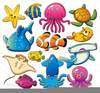 Animated Clipart Of Ocean Life Image