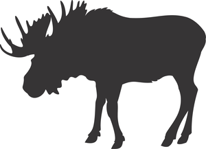 Clipart Moose Image