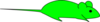 Gfp Mouse Md Image