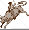 Bucking Bull Clipart Free Image