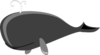 Gray Whale Grey Clip Art
