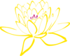 Pink Yellow  Lotus Clip Art