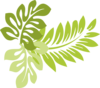 Hibiscus Leaves Clip Art