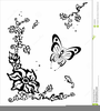 Clipart Illustration Butterfly Silhouette Image