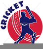 Free Cricket Clipart Image
