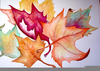 Fall Leaf Paintings Image