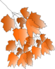 Tree Branch Autumn Clip Art