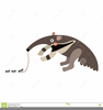 Clipart Of An Anteater Image