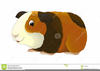 Cavy Clipart Image