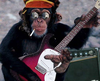 Monkeys With Guitars Image