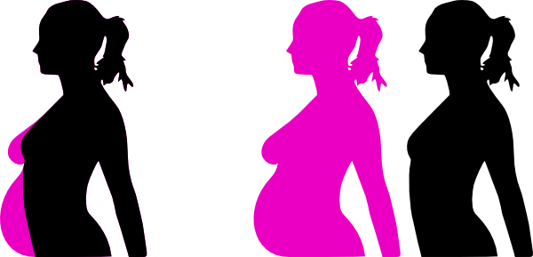 Pregnancy Silhouette 4 Clip Art At Clker Com Vector Clip Art Online Royalty Free Public Domain