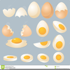 Free Chicken Eggs Clipart Image