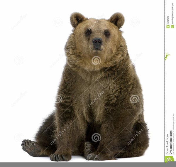 brown bear brown bear clipart black and white