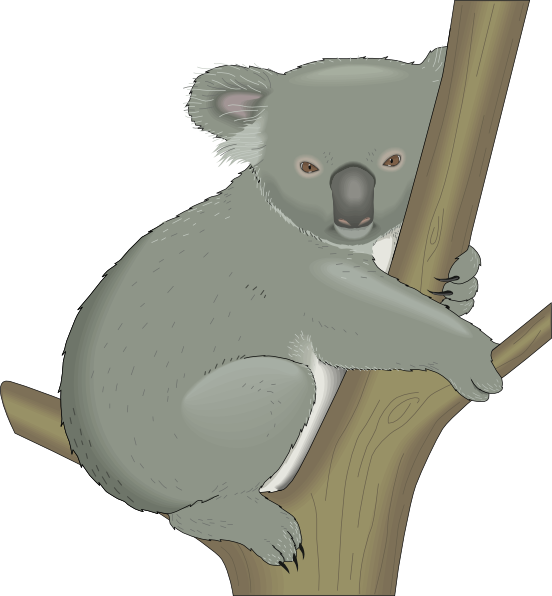 clipart of a koala bear - photo #17
