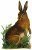 Velveteen Rabbit Clipart Image