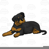 Rottweiler Puppy Clipart Image