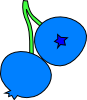 Blueberries Clipart