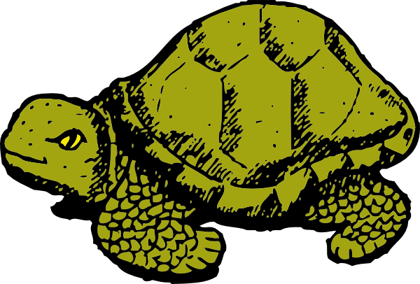 tortoise clipart free - photo #50