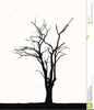 Leafless Tree Clipart Image