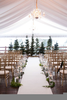 Evergreen Wedding Decorations Image